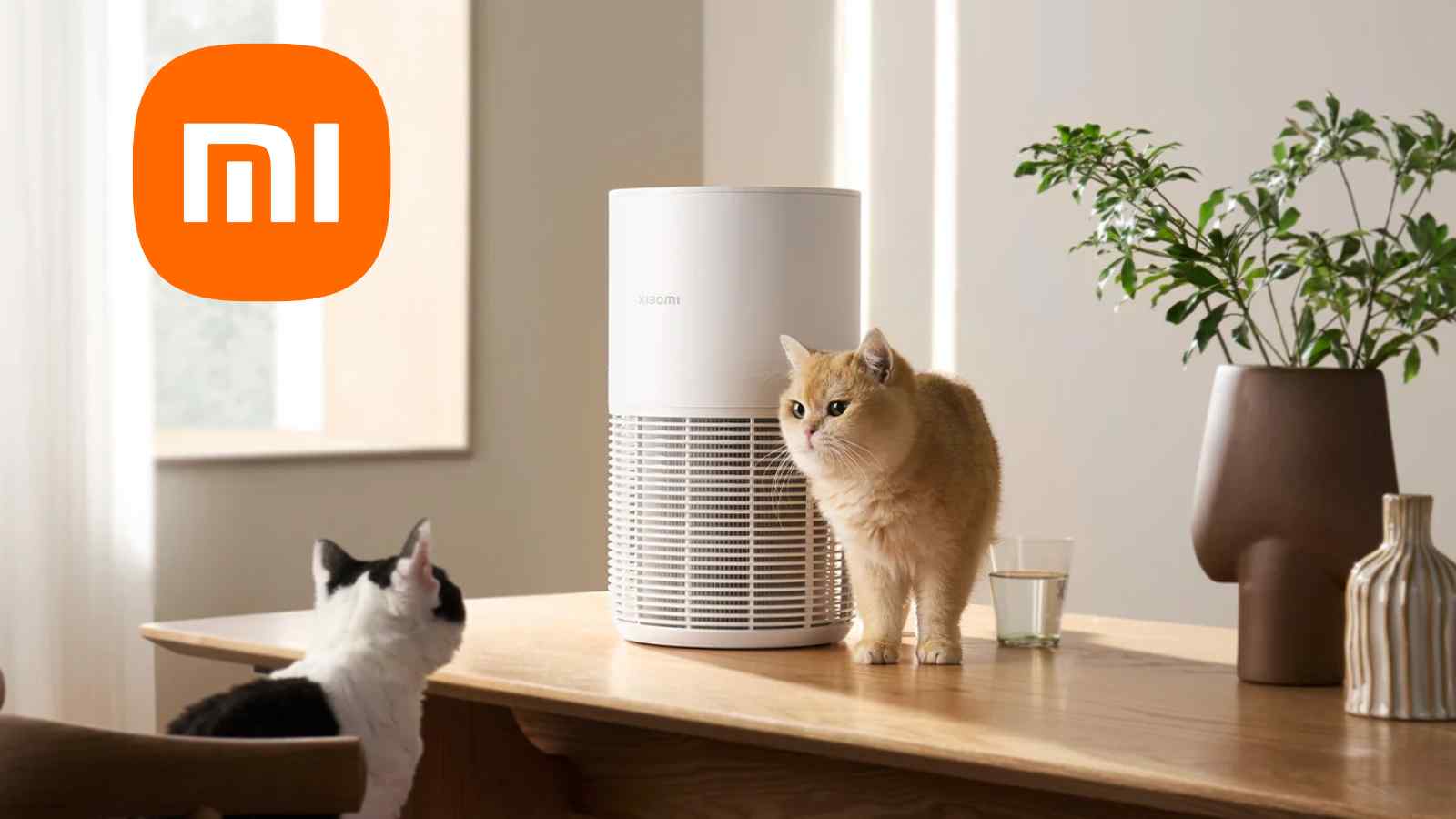 Xiaomi lancia la sua prima fabbrica di elettrodomestici