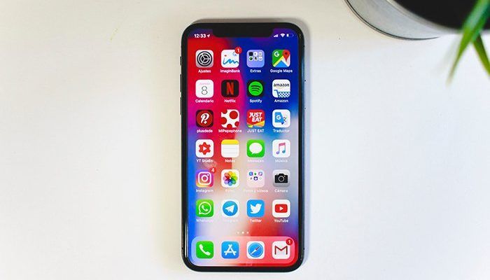 Apple iPhone X