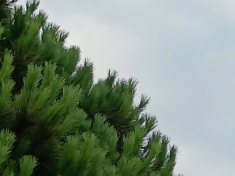 OP Nord2 Fotocamera 8