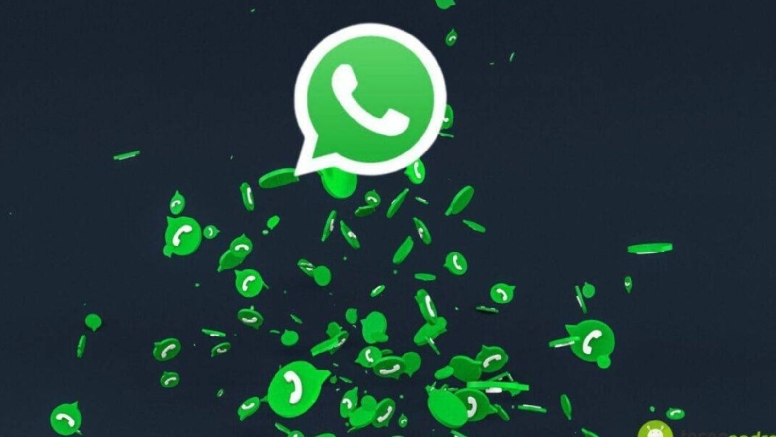 WhatsApp 22