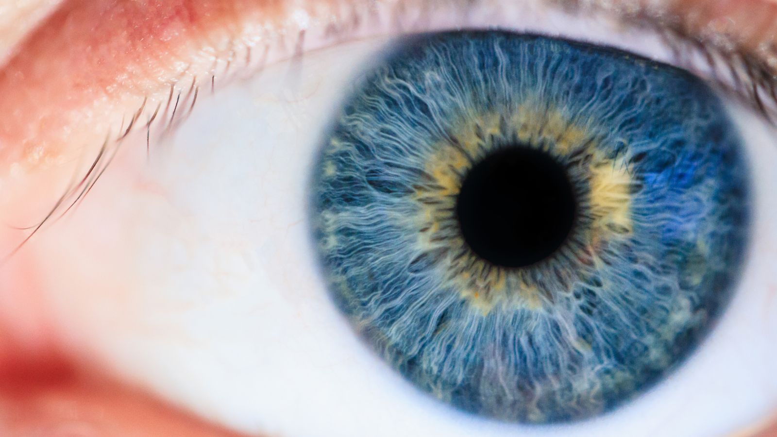 Rivoluzionaria Tecnologia per la Visione dei Colori: Superare i Limiti della Retina Umana